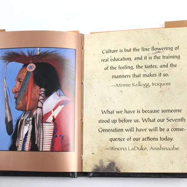 Mother Earth, Father Sky Native American Wisdom Hardcover Ariel Books