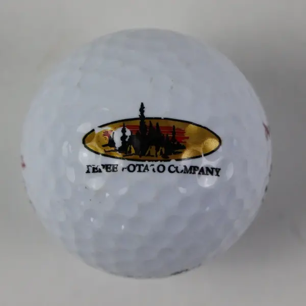 4 Mixed-Model Top Flite Golf Balls Used Pre-Owned Practice