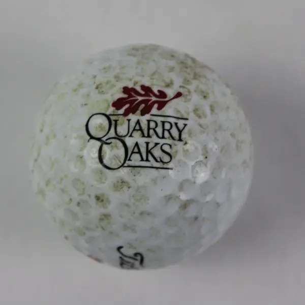 Lot of 6 Used Mixed Brand Golf Balls Titleist Quarry Oaks Practice