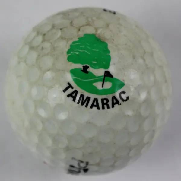 Lot of 3 Pinnacle Golf Balls White Used Mixed Series