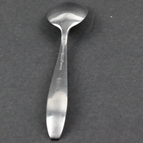 Oneida Sestina Stainless Steel Teaspoon Single Flatware
