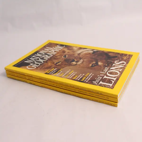 Lot of 3 Vintage 2001 National Geographic Magazine Issues April May June