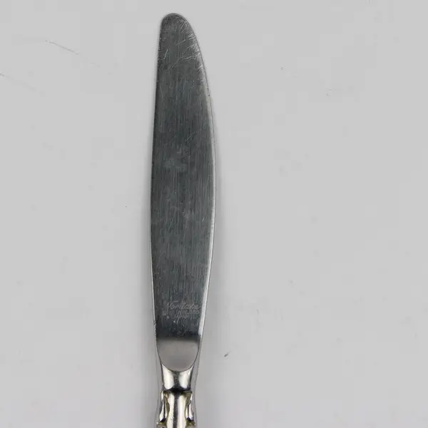 Vintage Noritake Serenade Pattern Dinner Knife 18/8 Stainless 8.5 Inches