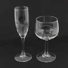 Lot of 2 Eola Hills Wine Cellars Clear Flute & Goblet Wine Glasses