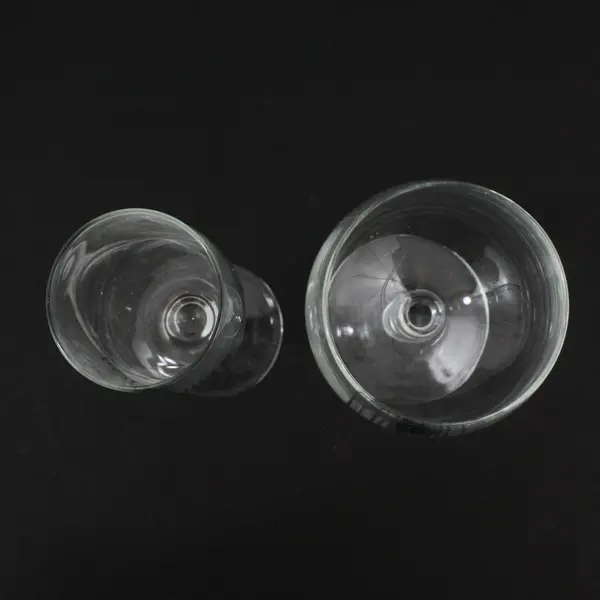 Lot of 2 Eola Hills Wine Cellars Clear Flute & Goblet Wine Glasses