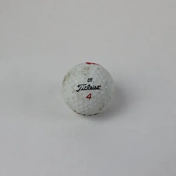 Titleist DT Golf Balls Set of 4 Used White Practice