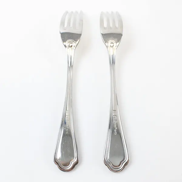 Lot of 2 Fortessa San Marco Stainless Steel Dinner Forks 8.25in