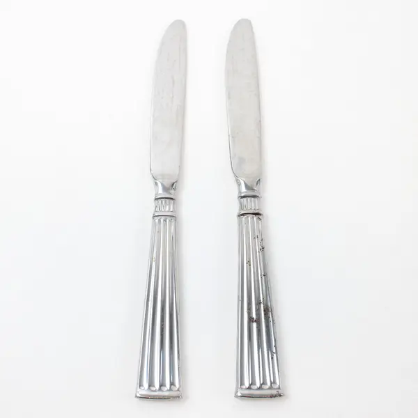 Lot of 2 Pfaltzgraff Savannah Stainless Steel Dinner Knives 9"