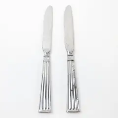 Lot of 2 Pfaltzgraff Savannah Stainless Steel Dinner Knives 9"