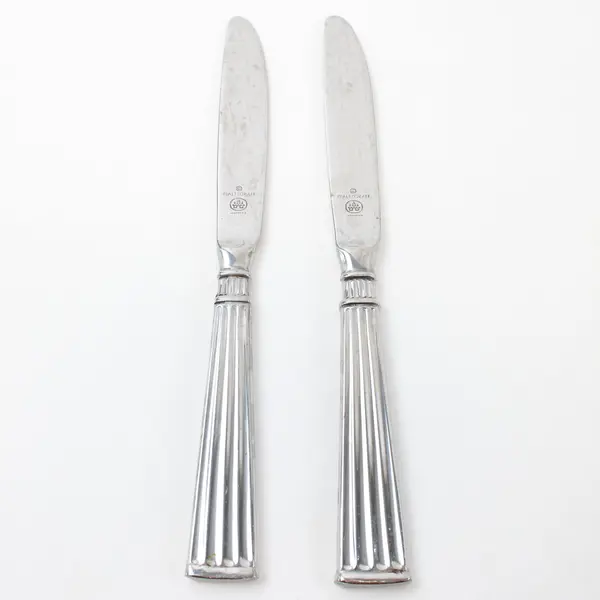 Lot of 2 Pfaltzgraff Savannah Stainless Steel Dinner Knives 9"