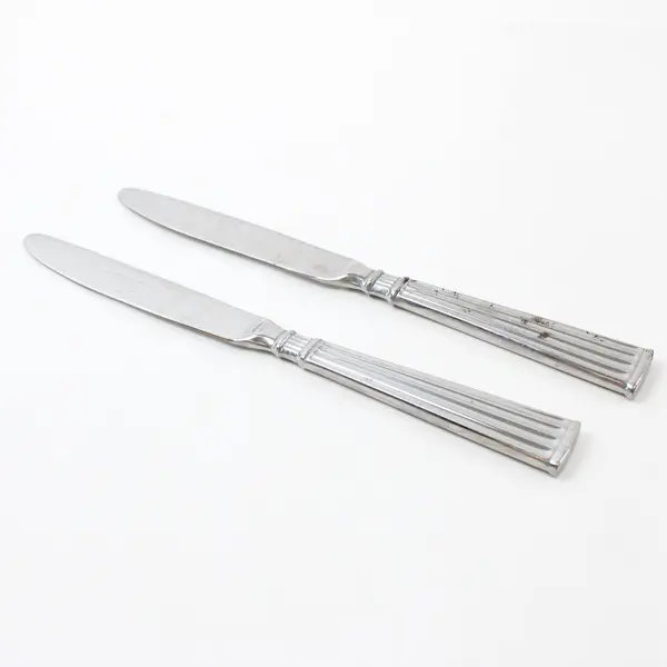 Lot of 2 Pfaltzgraff Savannah Stainless Steel Dinner Knives 9"