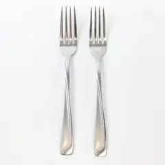 Lot of 2 Pfaltzgraff Satin Echo Stainless Steel Dinner Forks 7.25"