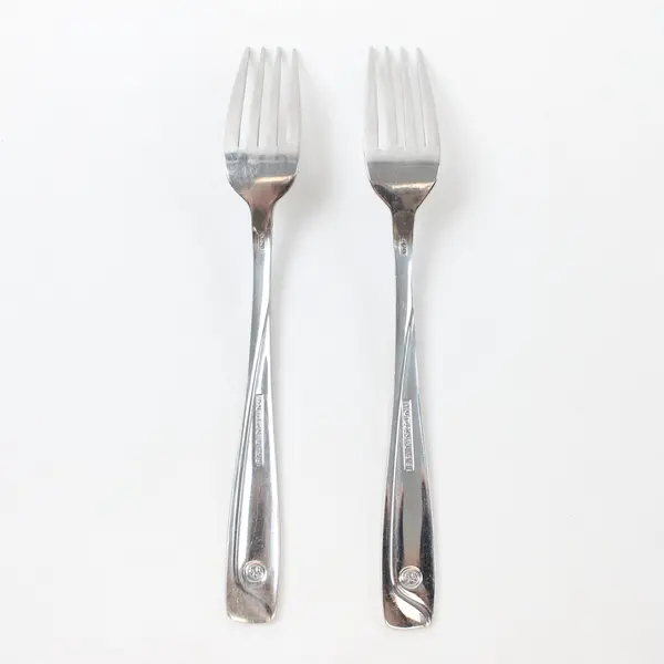 Lot of 2 Pfaltzgraff Satin Echo Stainless Steel Dinner Forks 7.25"
