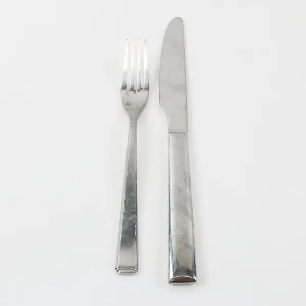 Lot of 2 Fortessa Stainless Dinner Knife 9.5" and Fork 7.5" Unknown Pattern
