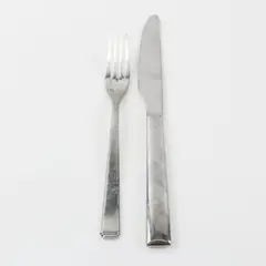 Lot of 2 Fortessa Stainless Dinner Knife 9.5" and Fork 7.5" Unknown Pattern