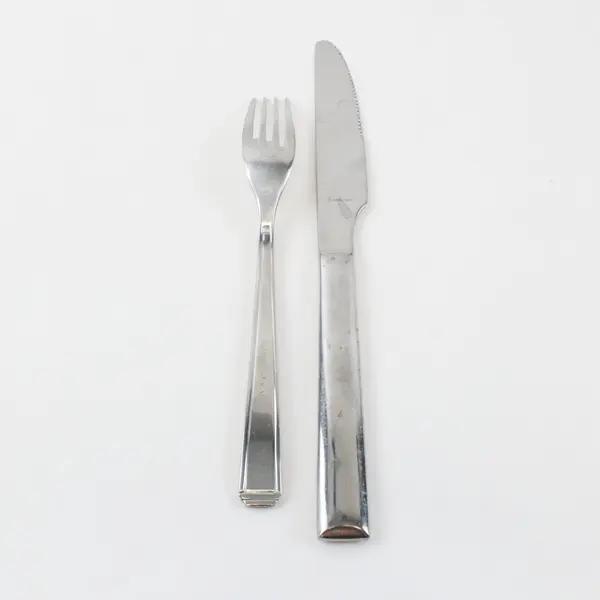 Lot of 2 Fortessa Stainless Dinner Knife 9.5" and Fork 7.5" Unknown Pattern