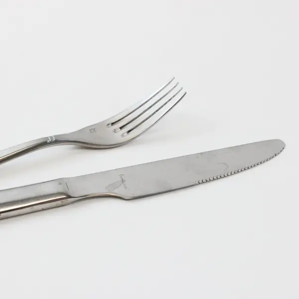 Lot of 2 Fortessa Stainless Dinner Knife 9.5" and Fork 7.5" Unknown Pattern
