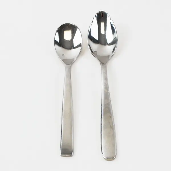Lot of 2 Fortessa SS Serrated Spoon 6.5" and Teaspoon 6" Unknown Mixed Patterns