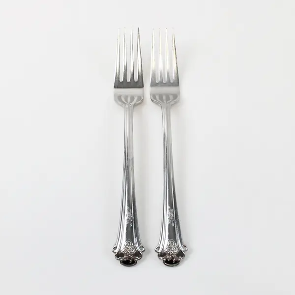 Lot of 2 Pfaltzgraff Sachet Stainless Steel Dinner Forks 8"