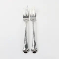Lot of 2 Pfaltzgraff Sachet Stainless Steel Dinner Forks 8"