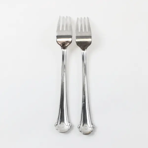 Lot of 2 Pfaltzgraff Sachet Stainless Steel Dinner Forks 8"