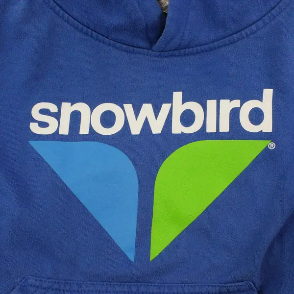 Live And Tell Snowbird Ski Resort Blue Pullover Hoodie Youth Small