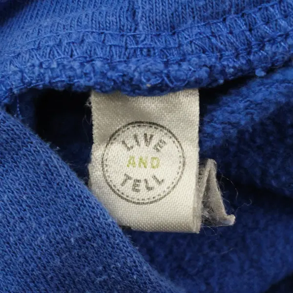 Live And Tell Snowbird Ski Resort Blue Pullover Hoodie Youth Small