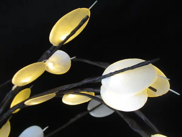 Lot of Light Up Decor Branches For Vases Tall Flat White Petals Battery Operated