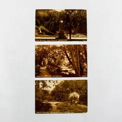 Lot of 3 Antique 1911-12 Ashland Oregon Park Litho Postcards Pacific Novelty Co.