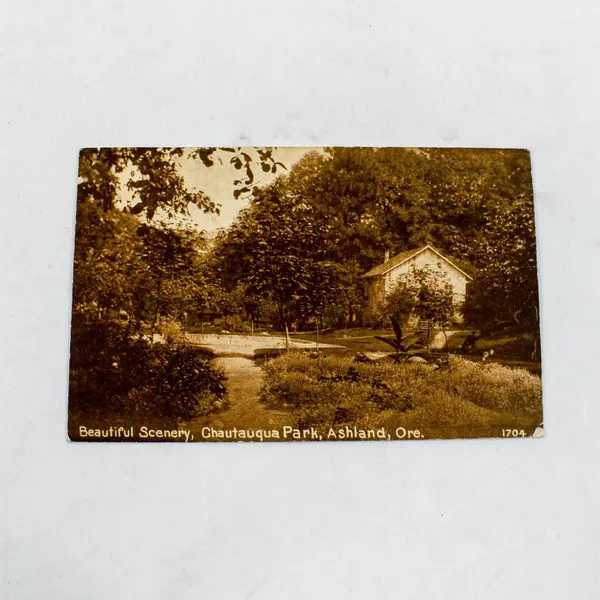 Lot of 3 Antique 1911-12 Ashland Oregon Park Litho Postcards Pacific Novelty Co.