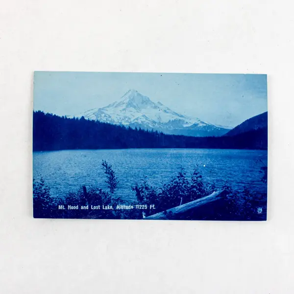 Lot Of 2 Vintage 1908-09 Mt Hood Oregon Litho Postcards
