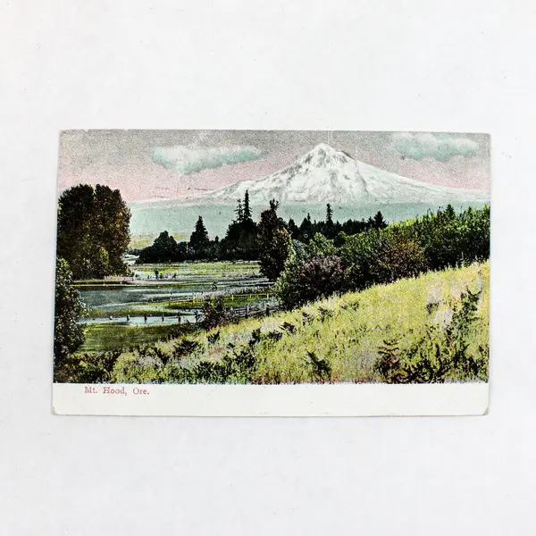 Lot Of 2 Vintage 1908-09 Mt Hood Oregon Litho Postcards