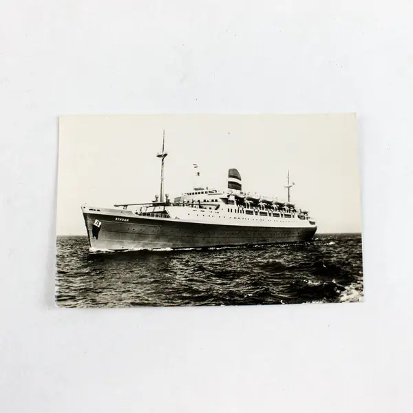 VTG 1950s SS Ryndam Ocean Liner Holland America Line RPPC Postcard