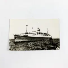 VTG 1950s SS Ryndam Ocean Liner Holland America Line RPPC Postcard