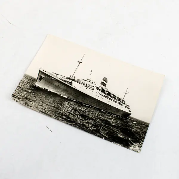 VTG 1950s SS Ryndam Ocean Liner Holland America Line RPPC Postcard