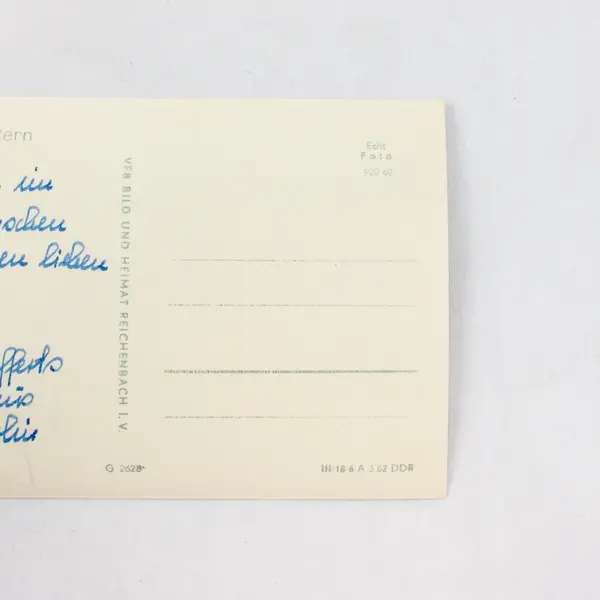 1962 Easter Baby Chick German DDR RPPC Real Photo Postcard