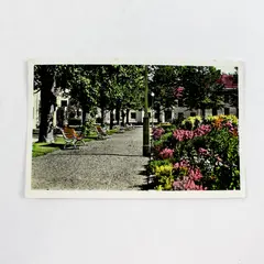 Vintage 1960 Plantaget Park Amal Sweden Postcard