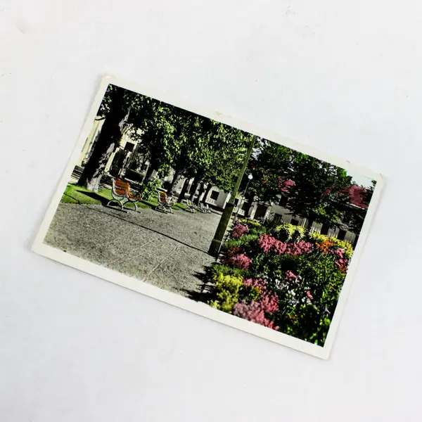 Vintage 1960 Plantaget Park Amal Sweden Postcard