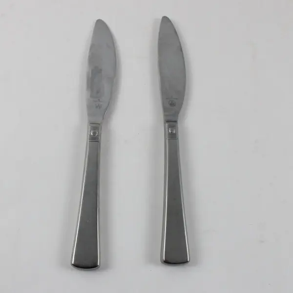 Lot of 2 Pfaltzgraff Satin Spencer Stainless  Steel Dinner Knives 9"