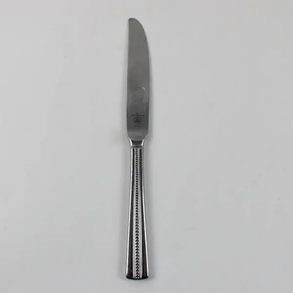 Pfaltzgraff Strand Stainless Steel Table Dinner Knife 9 Inch