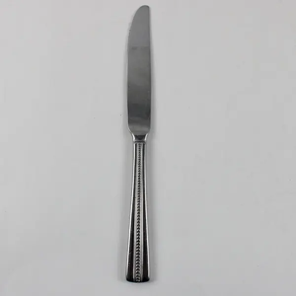 Pfaltzgraff Strand Stainless Steel Table Dinner Knife 9 Inch