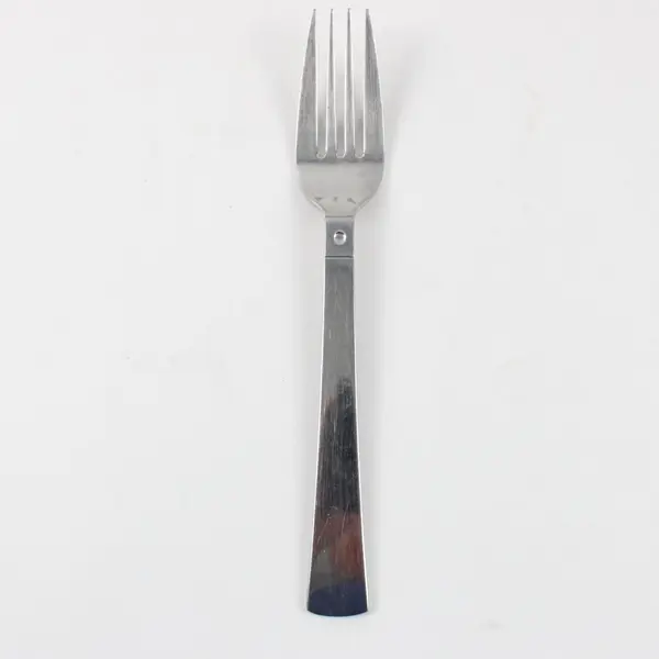 Pfaltzgraff Satin Echo Stainless Steel Salad Fork 7 Inch