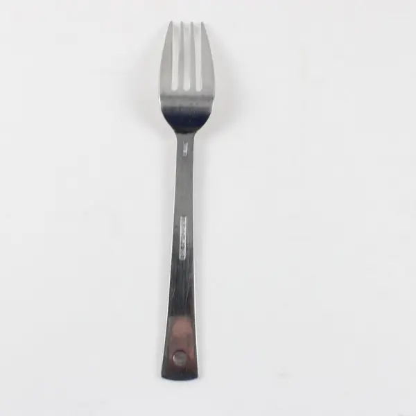 Pfaltzgraff Satin Echo Stainless Steel Salad Fork 7 Inch