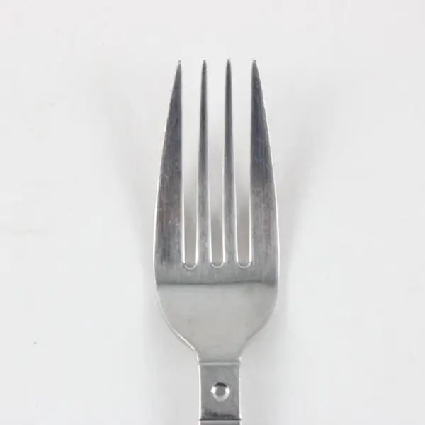 Pfaltzgraff Satin Echo Stainless Steel Salad Fork 7 Inch