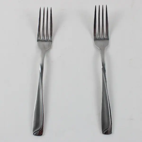 Lot of 2 Pfaltzgraff Satin Echo Stainless Steel Dinner Forks 8"