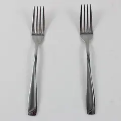 Lot of 2 Pfaltzgraff Satin Echo Stainless Steel Dinner Forks 8"
