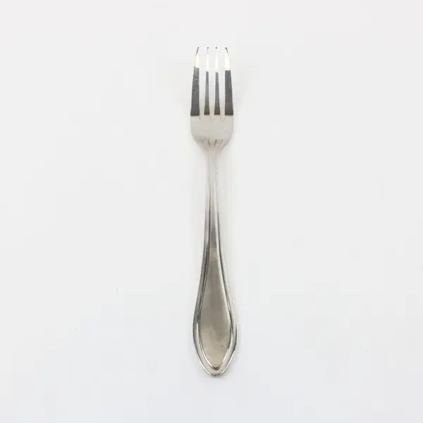 Unbranded 18/10 Stainless Steel Dinner Fork Engraved Outline 8" Good
