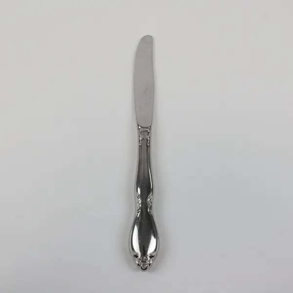 Oneida Chatelaine Chanterelle Stainless Steel Hollow Handle Table Knife