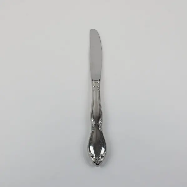 Oneida Chatelaine Chanterelle Stainless Steel Hollow Handle Table Knife