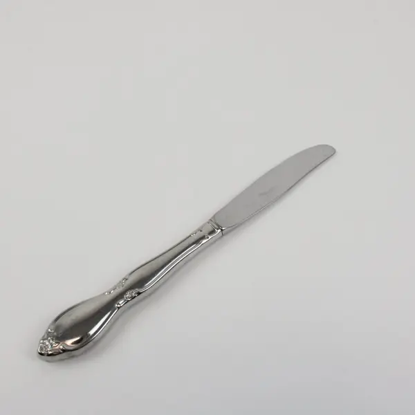 Oneida Chatelaine Chanterelle Stainless Steel Hollow Handle Table Knife